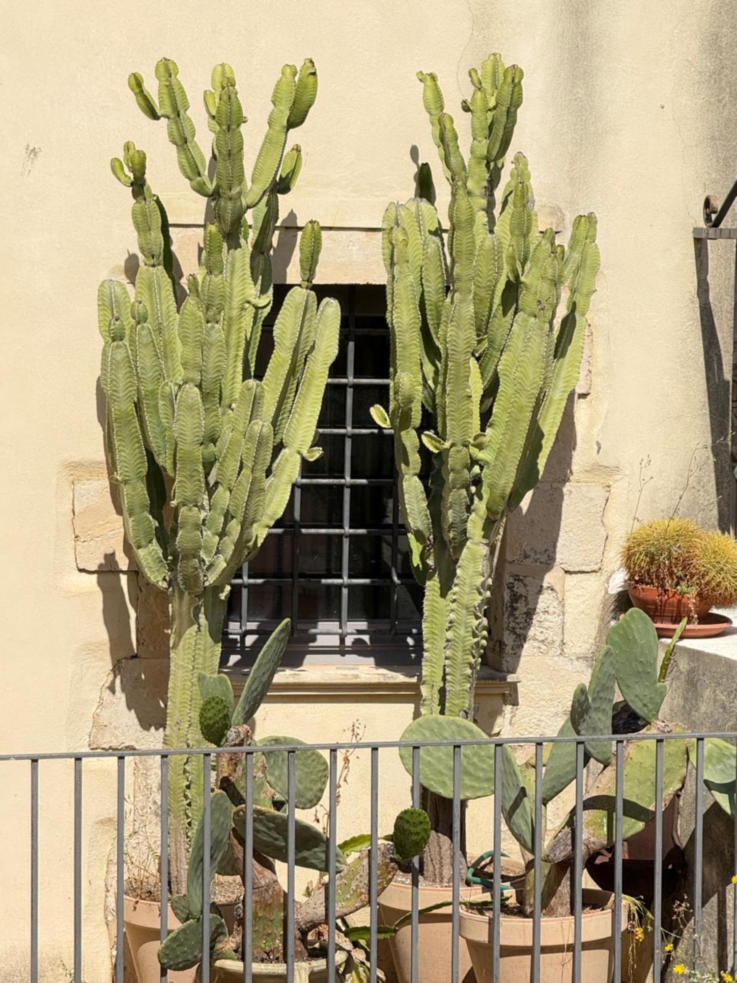 Panorama Suites Noto - Adults Only Buitenkant foto